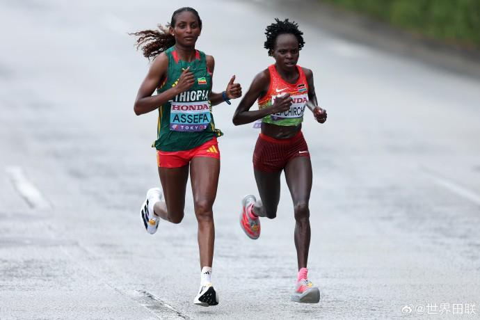 连战,激情对决,尼克斯与步,沙巴体育,沙巴体育平台,体育博彩,体育投注,沙巴赛事投注