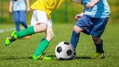 汇聚众智，推动残疾人事业融合共享新篇章 光明网